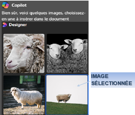 Une image contenant texte, mammifère, mouton, capture d’écran

Le contenu généré par l’IA peut être incorrect.